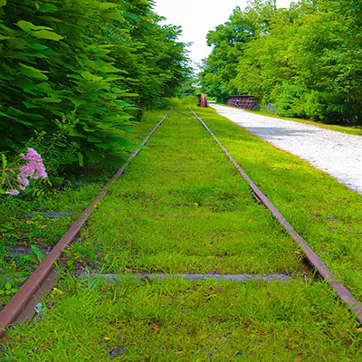 nature path