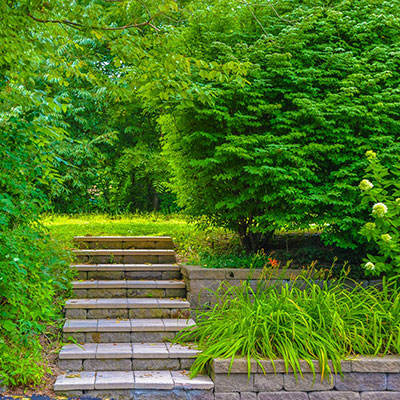 nature path