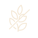 gluten free icon