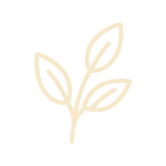 leaf icon
